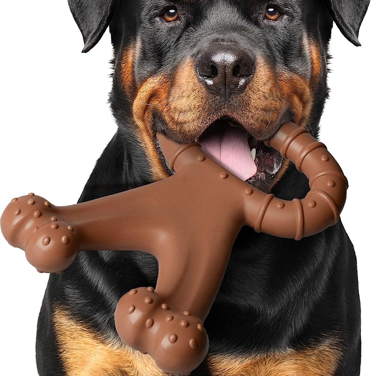 Robustes Hunde-Kauspielzeug 4