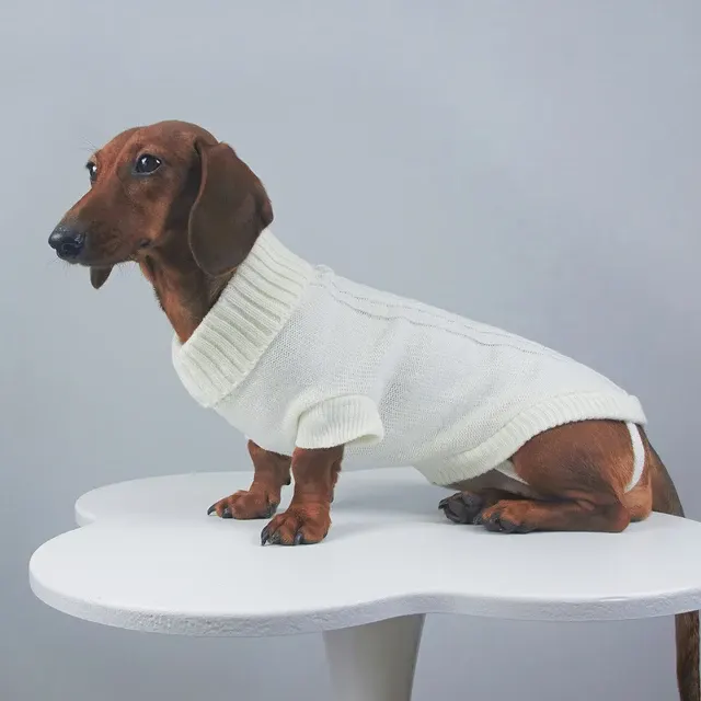 Hunde-Rollkragenpullover 3