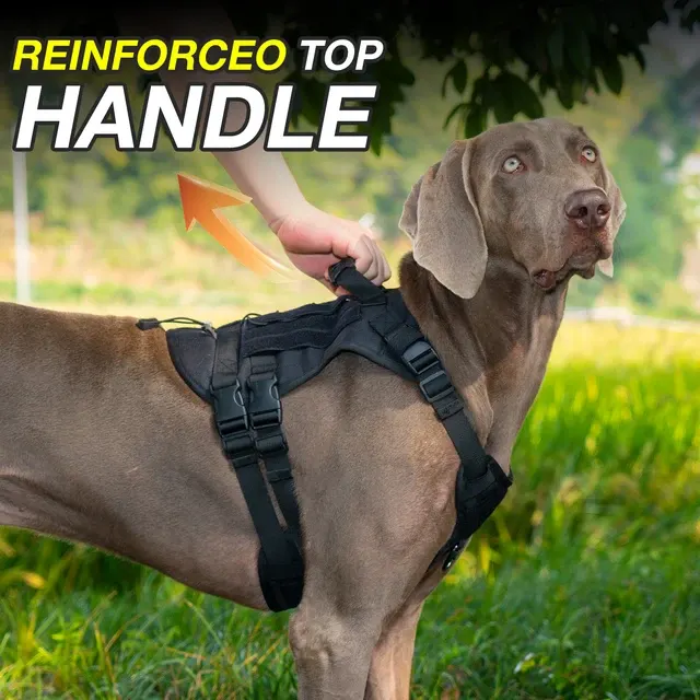 Taktisches Hundegeschirr 3