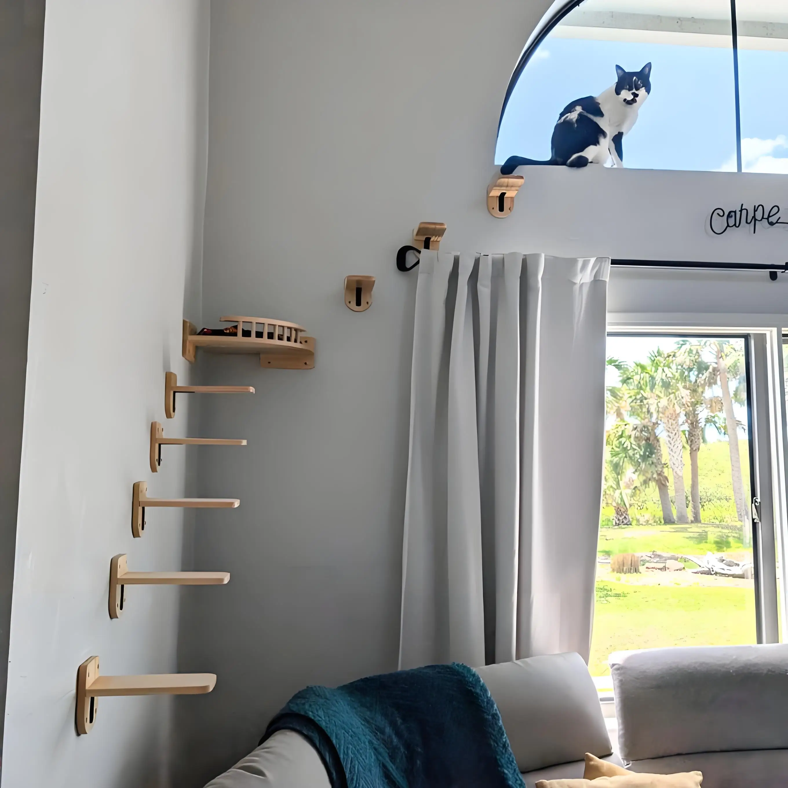 Kletterwand für Katzen 2