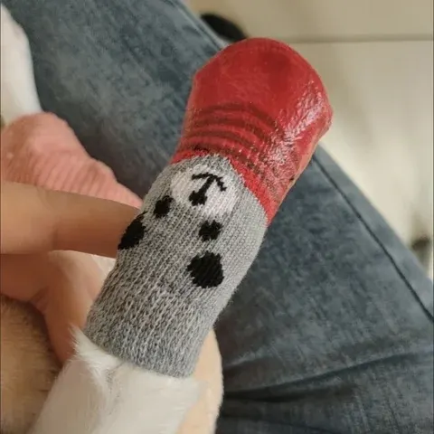 Hundesocken