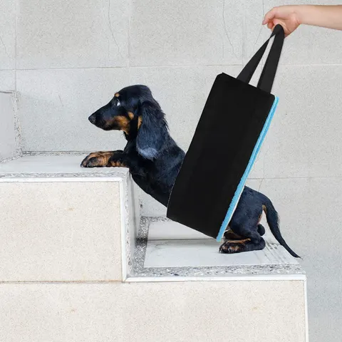 Hundegeschirr