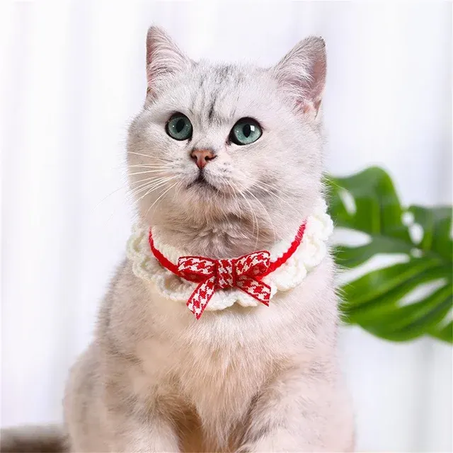 Katzen-Lätzchen 2