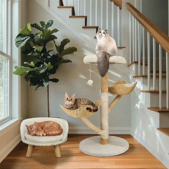 Katzenbaum 3