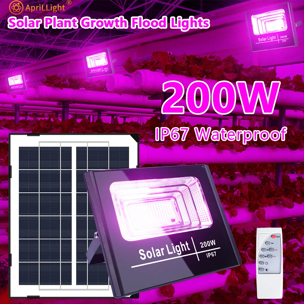Solar-Pflanzenlampe