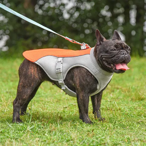 Hunde-Kühlweste