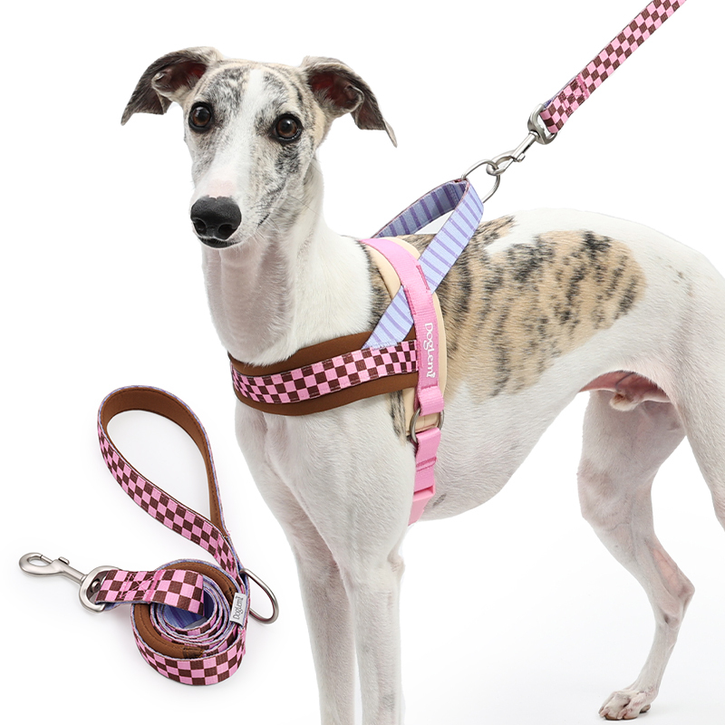 Hundegeschirr