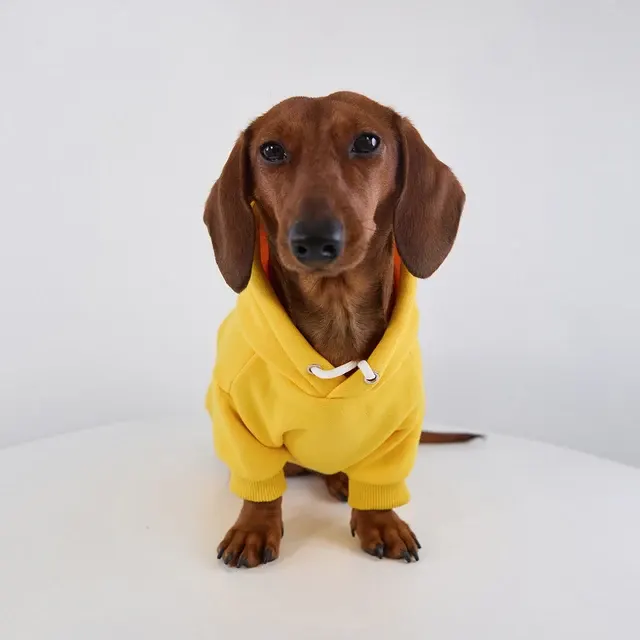 Hunde-Fleecejacke 2