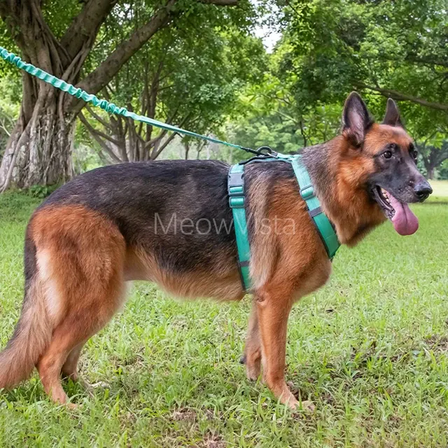 Hundegeschirr-Set 4
