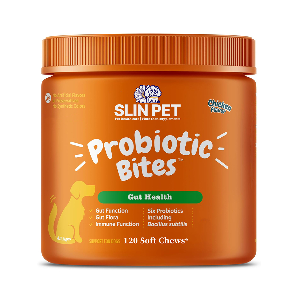 Probiotische Kau-Snacks für Hunde mit Enzymen