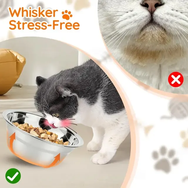 Erhöhter Katzennapf 4
