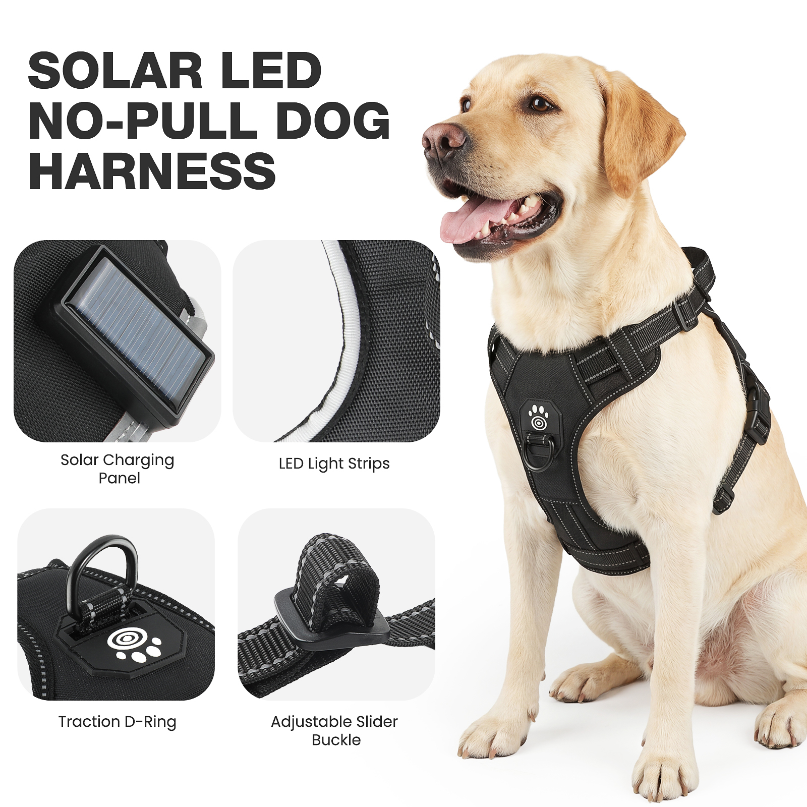 LED-Hundegeschirr 2