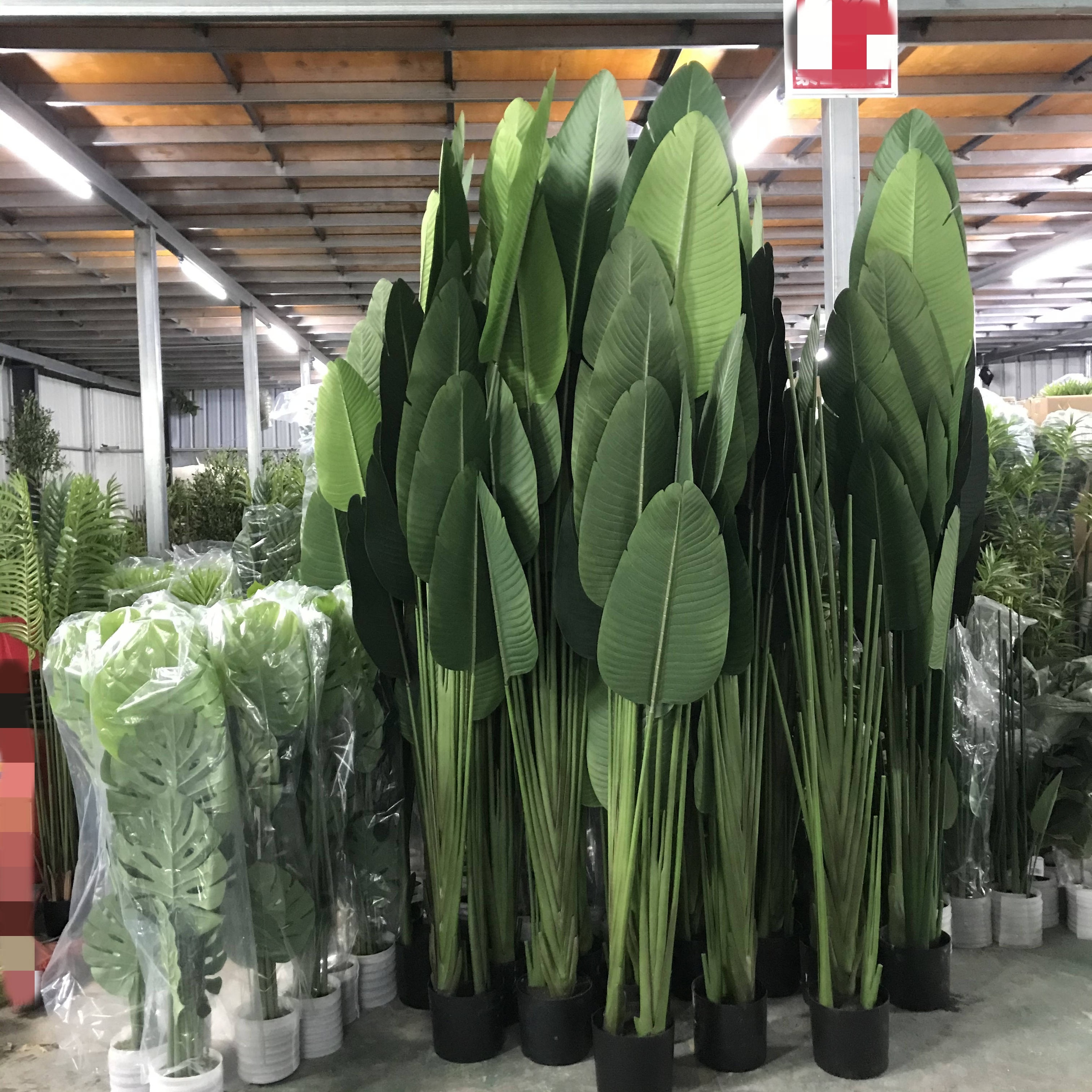 80 cm Künstliche Bananenpflanze im Topf