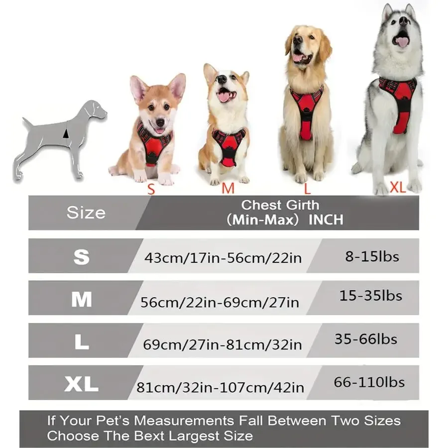 Hunde-Starterset 4