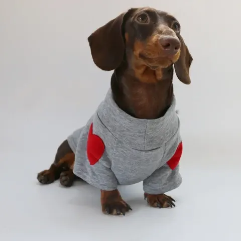 Hundemantel