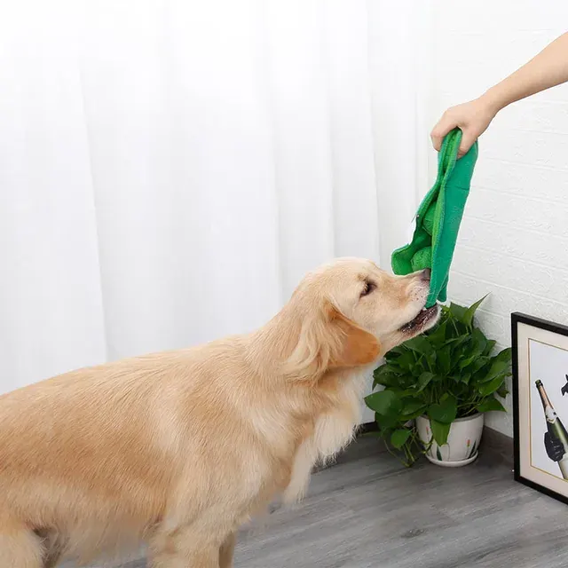 Hunde-Schnüffelspielzeug 2