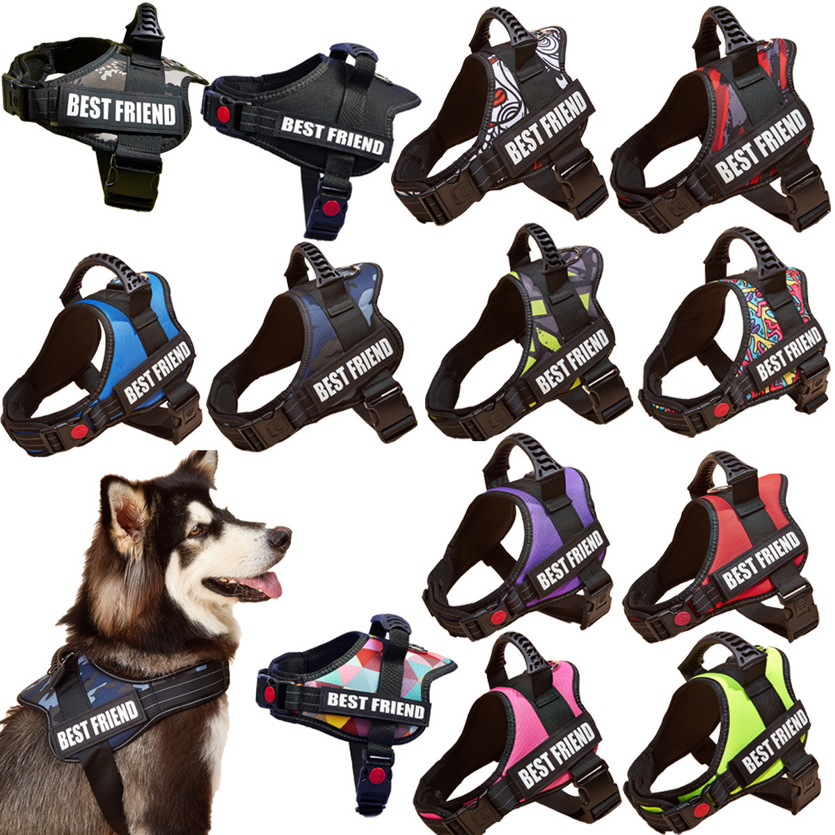 Hundegeschirr