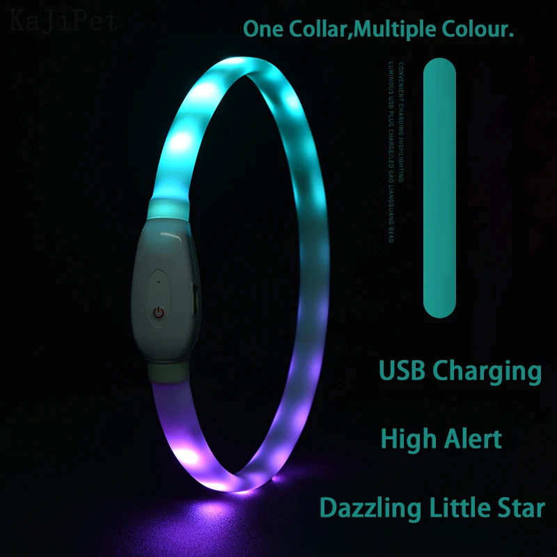 LED-Hundehalsband
