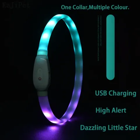 LED-Hundehalsband