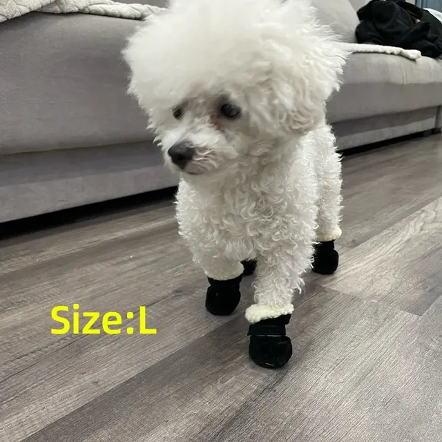 Hunde-Winterschuhe 3
