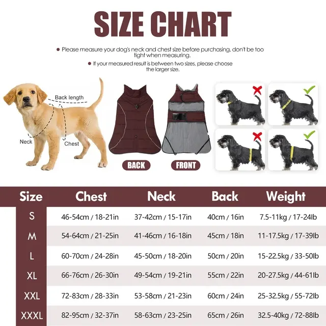 Hunde-Winterjacke 2
