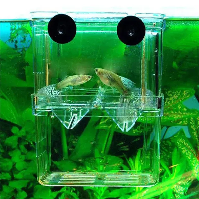 Fischzucht-Brutbox 3