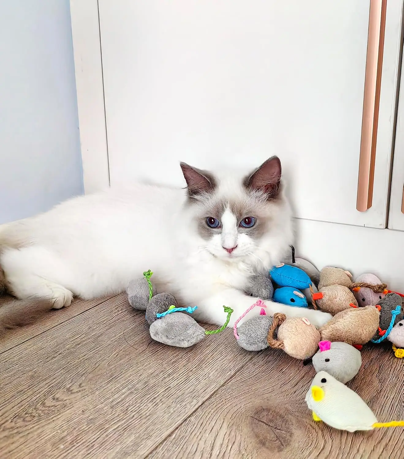 Katzenspielzeug-Set mit Rassel und Katzenminze 4