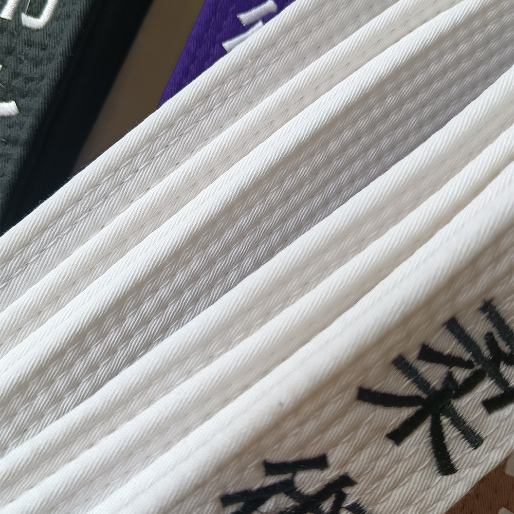 Jiu-Jitsu-Gürtel 2