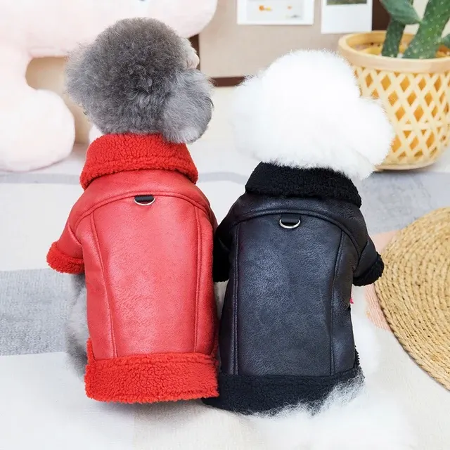 Hunde-Lederjacke mit Pelzkragen 2