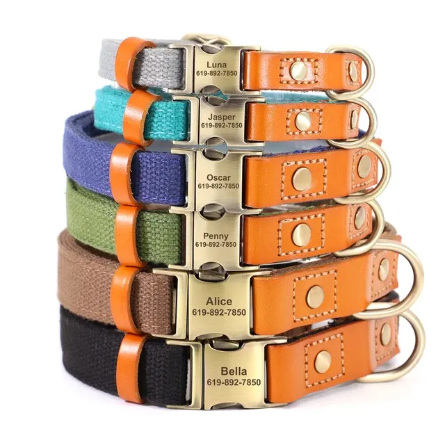Personalisiertes Hundehalsband-Set 3