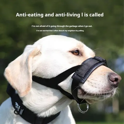 Hundemaulkorb