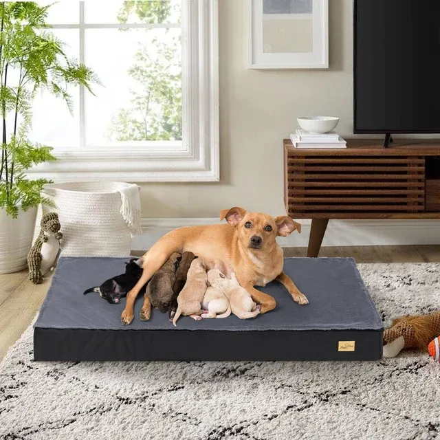 Waschbares Hundebett 3