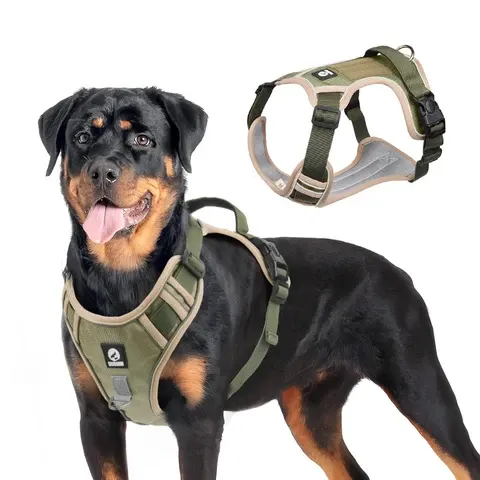 Hundegeschirr