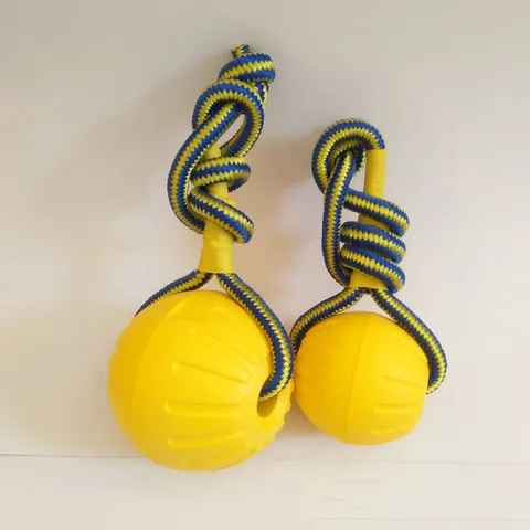 Hunde-Kauball