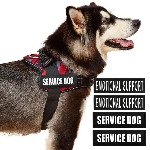 Hundegeschirr 3