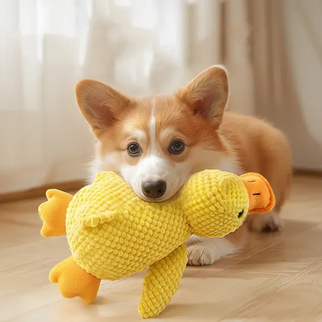 Plüsch-Enten-Hundespielzeug 4