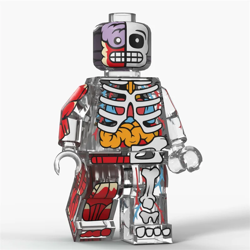 Anatomie-Spielfigur 3