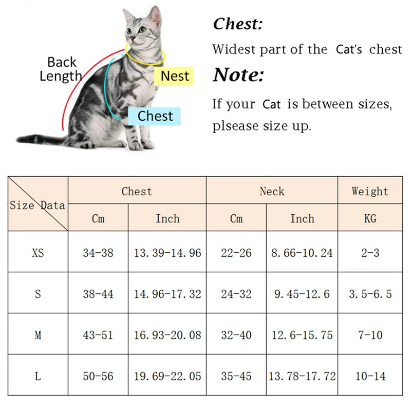 Katzengeschirr Set 2