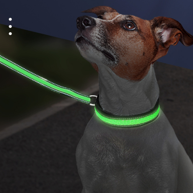 LED-Hundehalsband