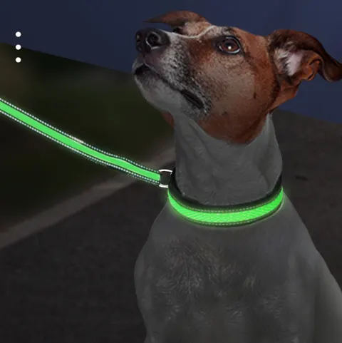 LED-Hundehalsband