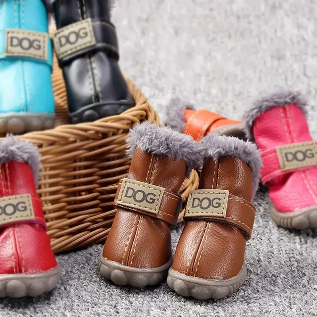 Hunde-Schneeschuhe 2