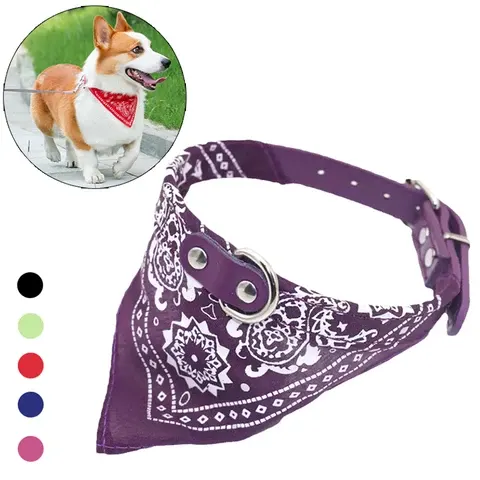 Hundehalsband mit Schal