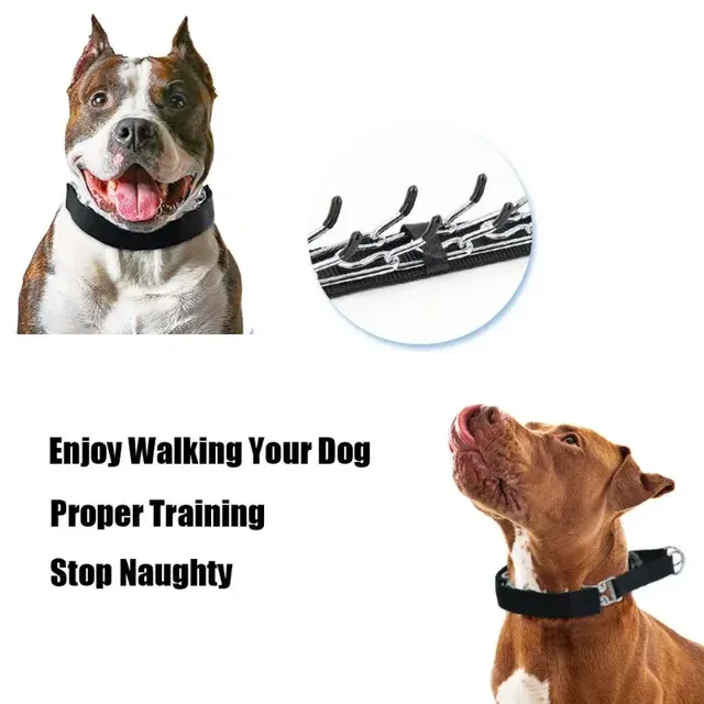 Hunde-Trainingshalsband 4
