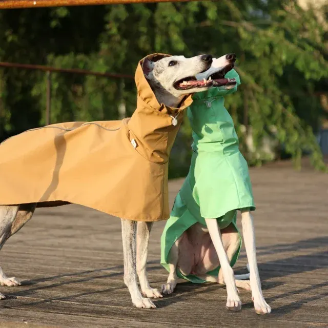 Hunde-Regenmantel 3