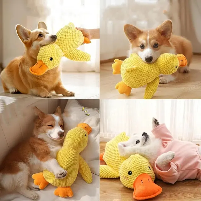 Plüsch-Enten-Hundespielzeug 2