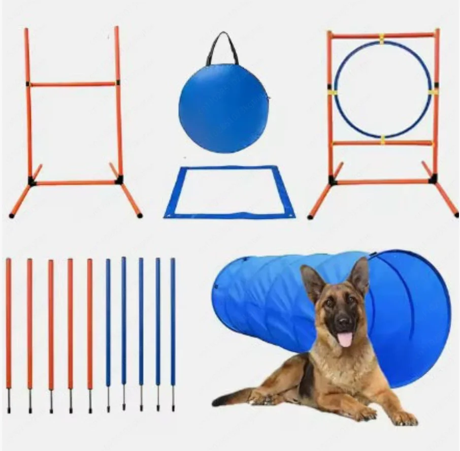 Hunde-Agility-Set 2