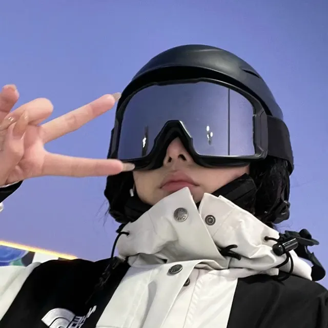 Skibrille 2
