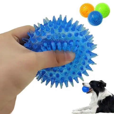 Hunde-Kauball