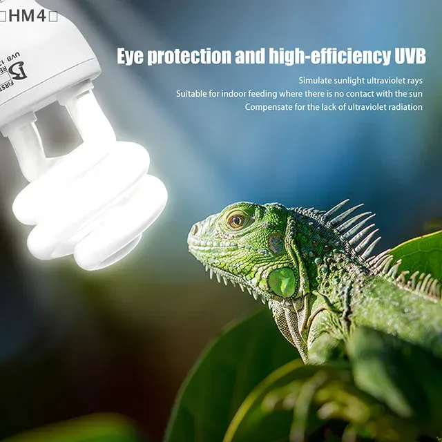 Reptilien-UVB-Lampe 2