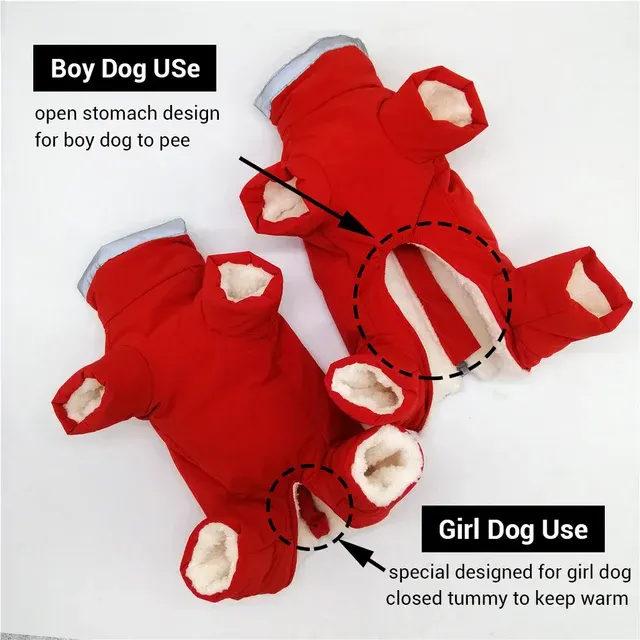 Hunde-Winteroverall 3